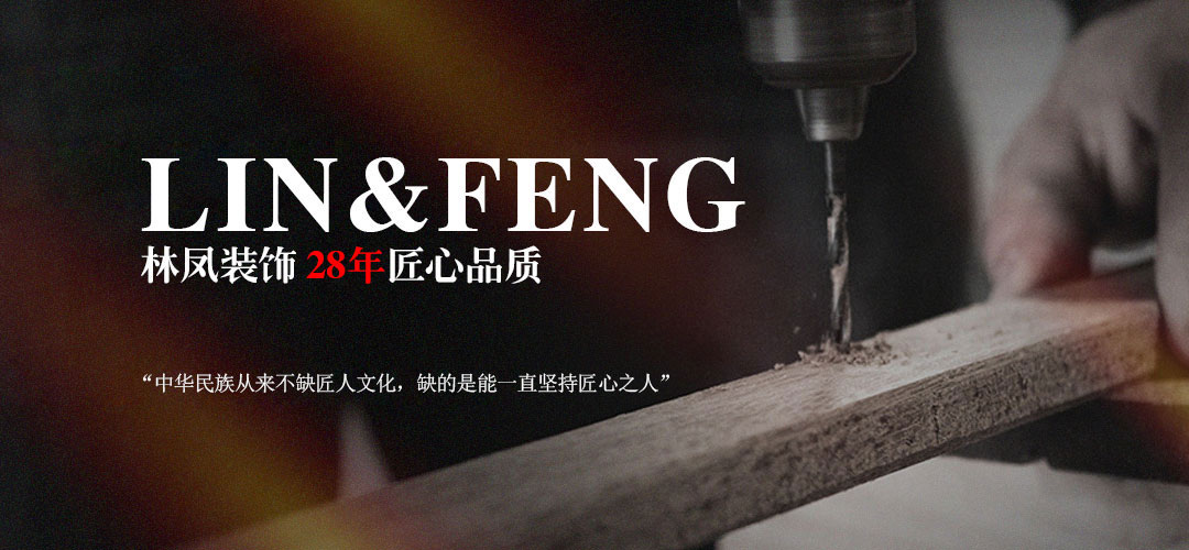 关于林凤-发展历程M.jpg